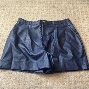 Size L Blackmilk Route 66 shorts